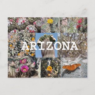Cartão Postal Cartão-postal primavera na Arizona