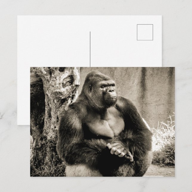 Cartão Postal Cartão-postal PROFUNDO (Frente/Verso)