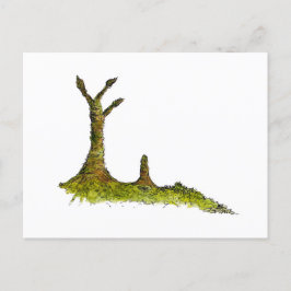 Cartão Postal Cartão-postal Prototaxites Lichens