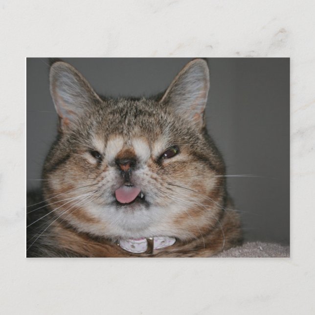 Cartão Postal Cartão-postal quase (Frente)