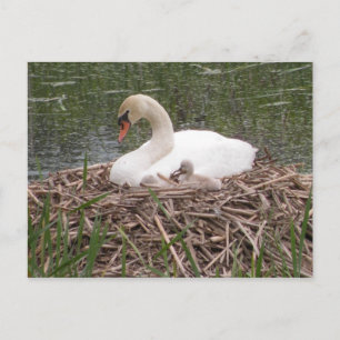 Cartão Postal Cartão-postal "Quero Ser Como A Mamãe"