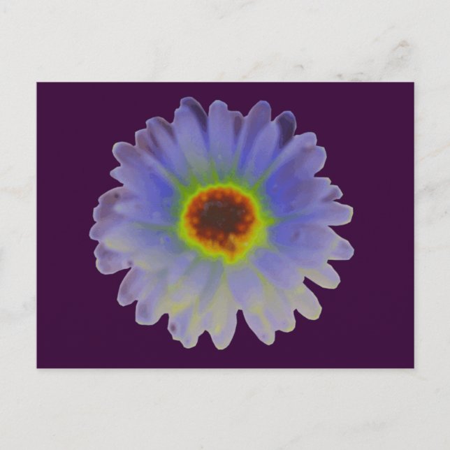 Cartão Postal Cartão-postal Rainbow Marigold (Frente)