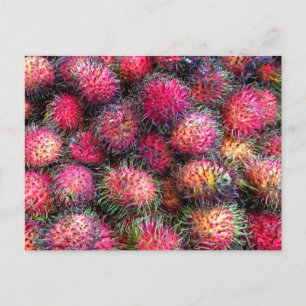 Cartão Postal Cartão-postal Rambutans