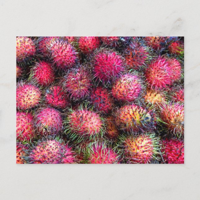 Cartão Postal Cartão-postal Rambutans (Frente)