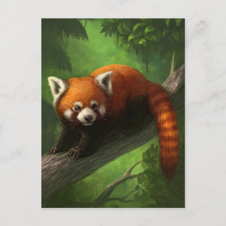 Cartão Postal Cartão-postal Red Panda