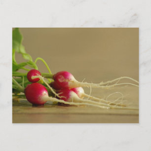 Cartão Postal Cartão-postal Red Radish