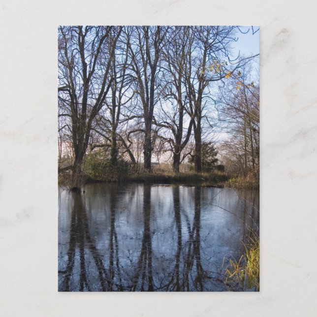 Cartão Postal Cartão-postal Reflexão nº 1 (Frente)