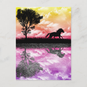 Cartão Postal Cartão-postal Reflexos do Cavalo