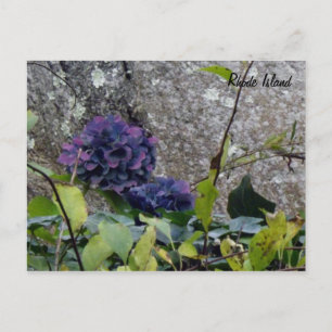 Cartão Postal Cartão-postal Rhode Island