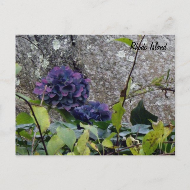 Cartão Postal Cartão-postal Rhode Island (Frente)