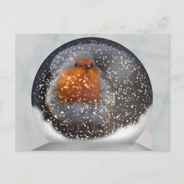 Cartão Postal Cartão-postal Robin Snowglobe (Frente)