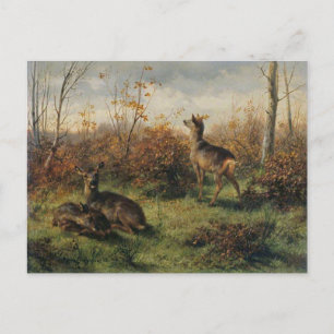Cartão Postal Cartão-postal Roe Deer de Rosa Bonheur