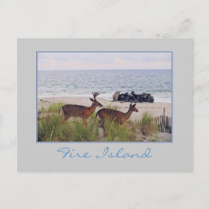 Cartão Postal Cartão-postal 'Romântico à noite ao longo da pr