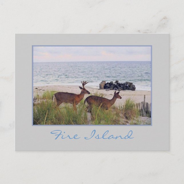 Cartão Postal Cartão-postal 'Romântico à noite ao longo da praia (Frente)