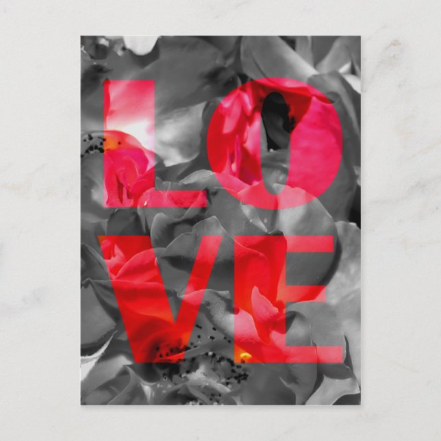 Cartão Postal Cartão-postal Rosa (Frente)