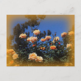 Cartão Postal Cartão-postal Rosa Amarelo Sunny