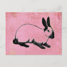 Cartão Postal Cartão-postal Rosa Bunny