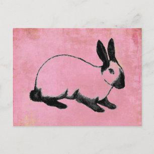 Cartão Postal Cartão-postal Rosa Bunny