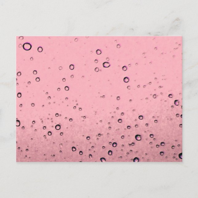 Cartão Postal Cartão-postal Rosa Chamgagne (Frente)