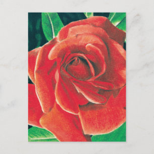 Cartão Postal Cartão-postal rosa de Jacob Grimm