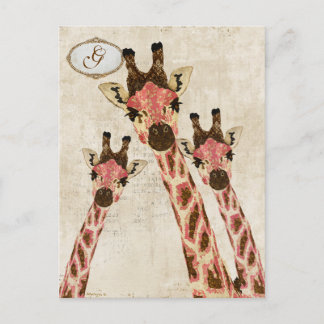 Cartão Postal Cartão-postal Rosa e Cobre Girafas Monograma