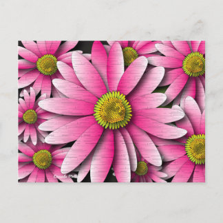 Cartão Postal Cartão-postal Rosa Gerbera Daisy