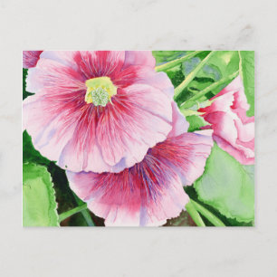 Cartão Postal Cartão-postal Rosa Hollyhocks