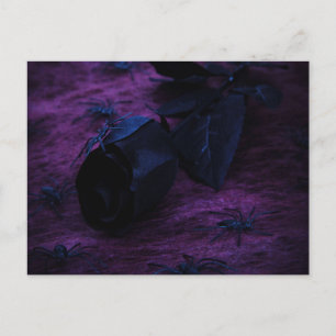 Cartão Postal Cartão-postal Rosa preto