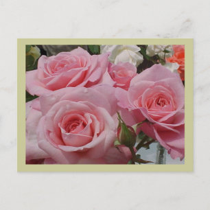 Cartão Postal Cartão-postal Rosa Rosa Rosa Rosa Rosa Rosa Rosa 