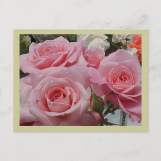 Cartão Postal Cartão-postal Rosa Rosa Rosa Rosa Rosa Rosa Rosa R