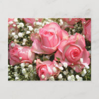 Cartão-postal Rosa Rosado