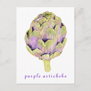 Cartão Postal Cartão-postal Roxo Artichoke