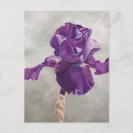 Cartão Postal Cartão-postal Roxo Iris Art