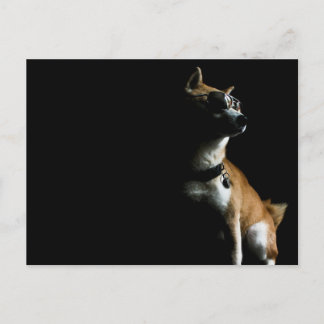 Cartão Postal Cartão-postal Saké Suave