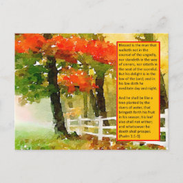 Cartão Postal Cartão-Postal - Salmo 1:1-3 Abençoado É O Homem