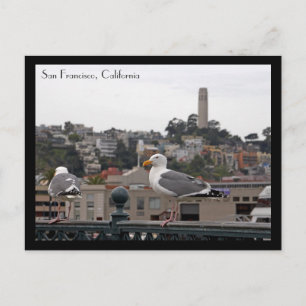 Cartão Postal Cartão-postal San Francisco