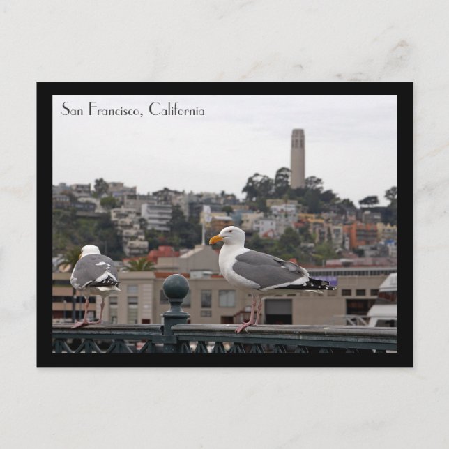 Cartão Postal Cartão-postal San Francisco (Frente)