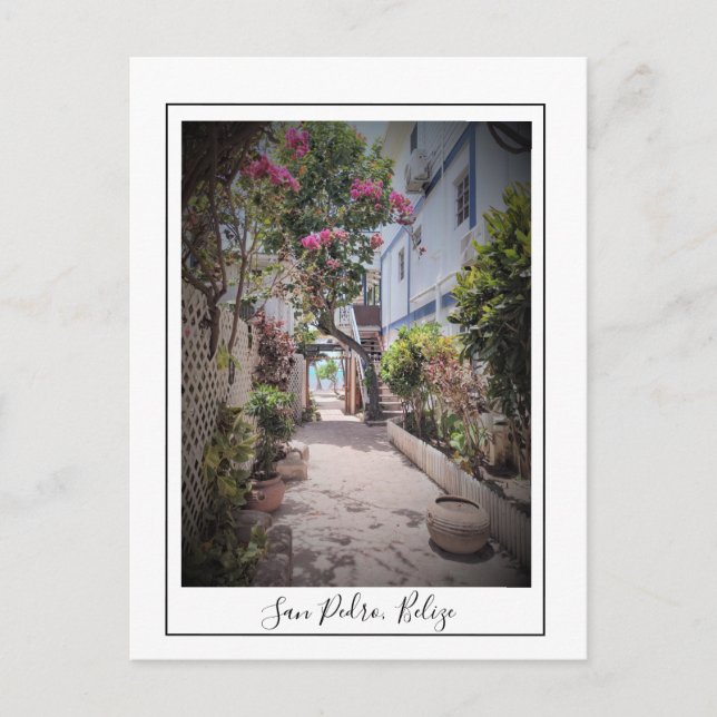 Cartão Postal Cartão-postal San Pedro Ambergris Caye Belize (Frente)