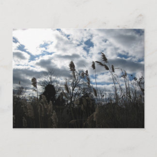 Cartão Postal Cartão-postal Selby-On-The-Bay