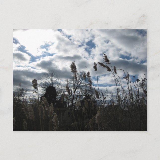 Cartão Postal Cartão-postal Selby-On-The-Bay (Frente)