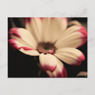 Cartão Postal Cartão-postal sem fôlego