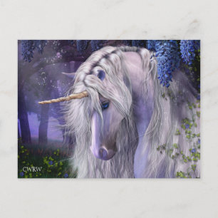 Cartão Postal Cartão-postal Serenade à Luz