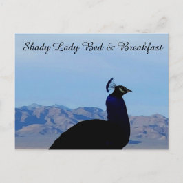 Cartão Postal Cartão-postal Shady Lady Bed & Brefast