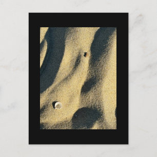 Cartão Postal Cartão-postal Shell Sand e Shadows