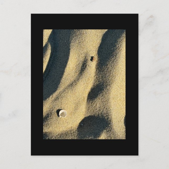 Cartão Postal Cartão-postal Shell Sand e Shadows (Frente)