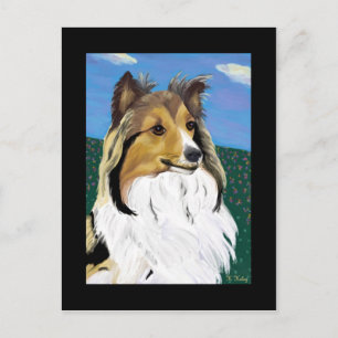 Cartão Postal Cartão-postal Sheltie