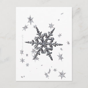 Cartão Postal Cartão-postal Shimmering Snowflake