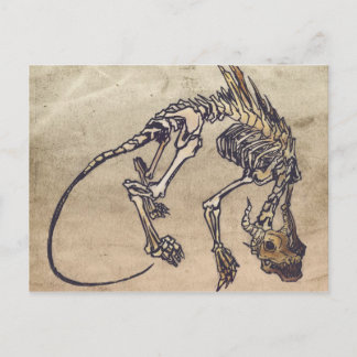 Cartão Postal Cartão-postal Skellie