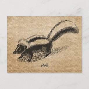 Cartão Postal Cartão-postal Skunk Vintage Burlap