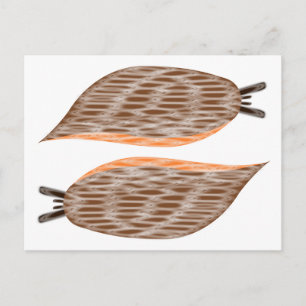 Cartão Postal Cartão-postal Slugs